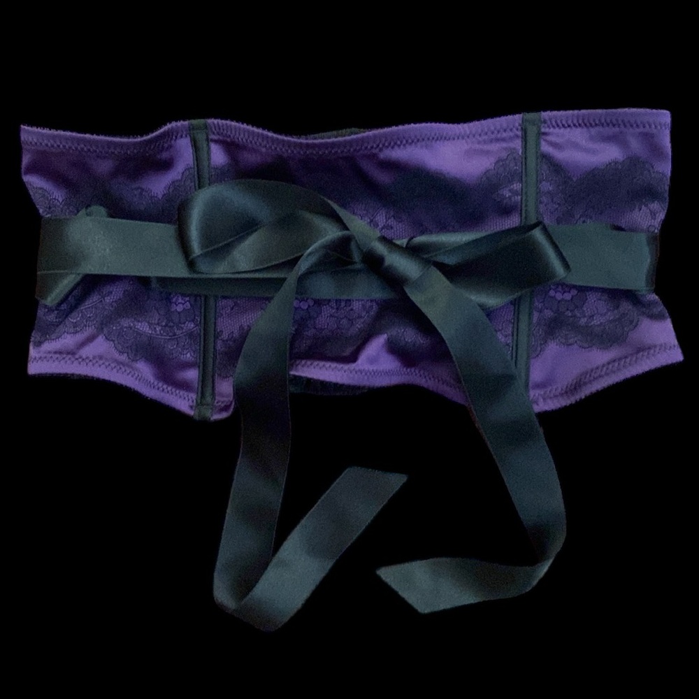 Chantelle Paris Waist Cincher/Garter Belt - Picture 12 of 12